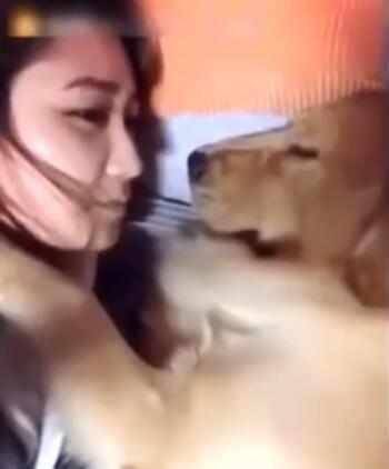 女主人趁金毛熟睡就去親它 沒想到金毛卻做出這個反應 太逗啦！ 萌趣萌寵 第1张