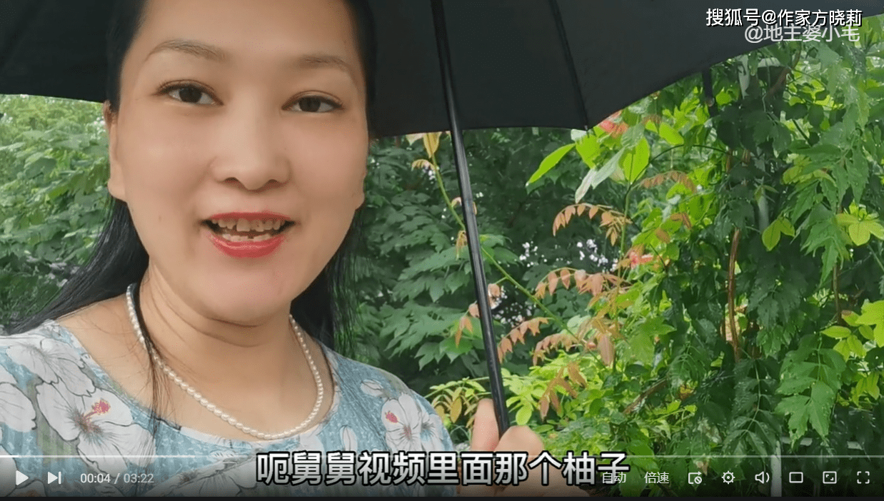 原创朱舅舅最新视频伞已透明柚结果了解读柚和伞是杭州常见
