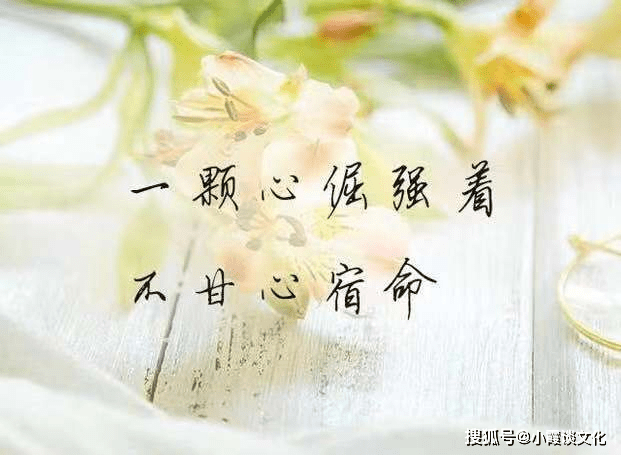 0a375d36e2224cdfbf0c15cd5b7582d8.png