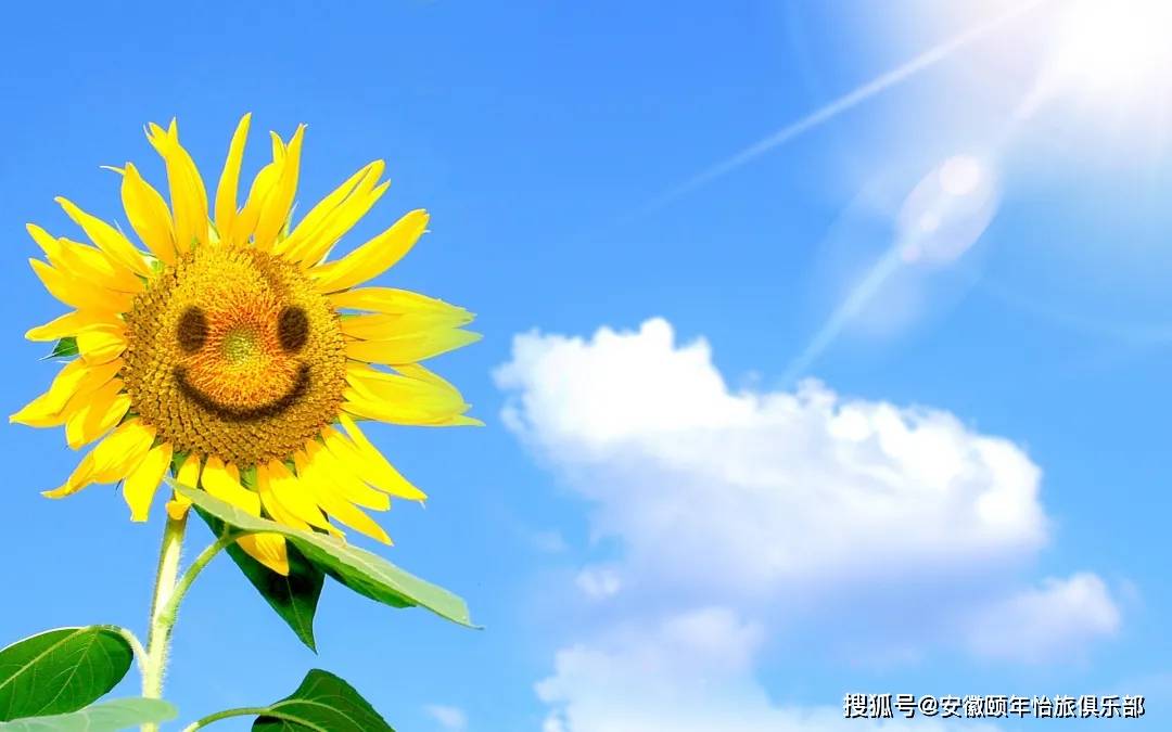 生命|一生不中风的方法,对中老年人太重要了!千万不要等到失去生命才知道!