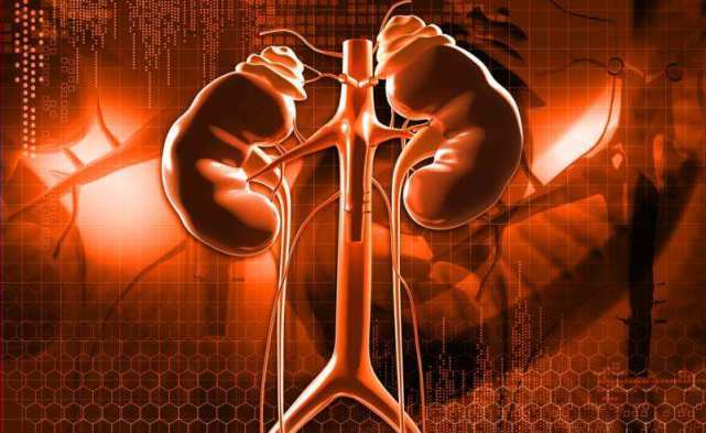 治疗|肾脏风湿的症状有哪些？来了解它的症状和治疗方案