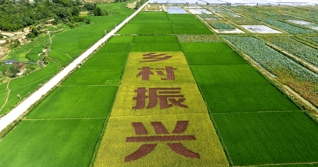 鄉村振興,綠化公司