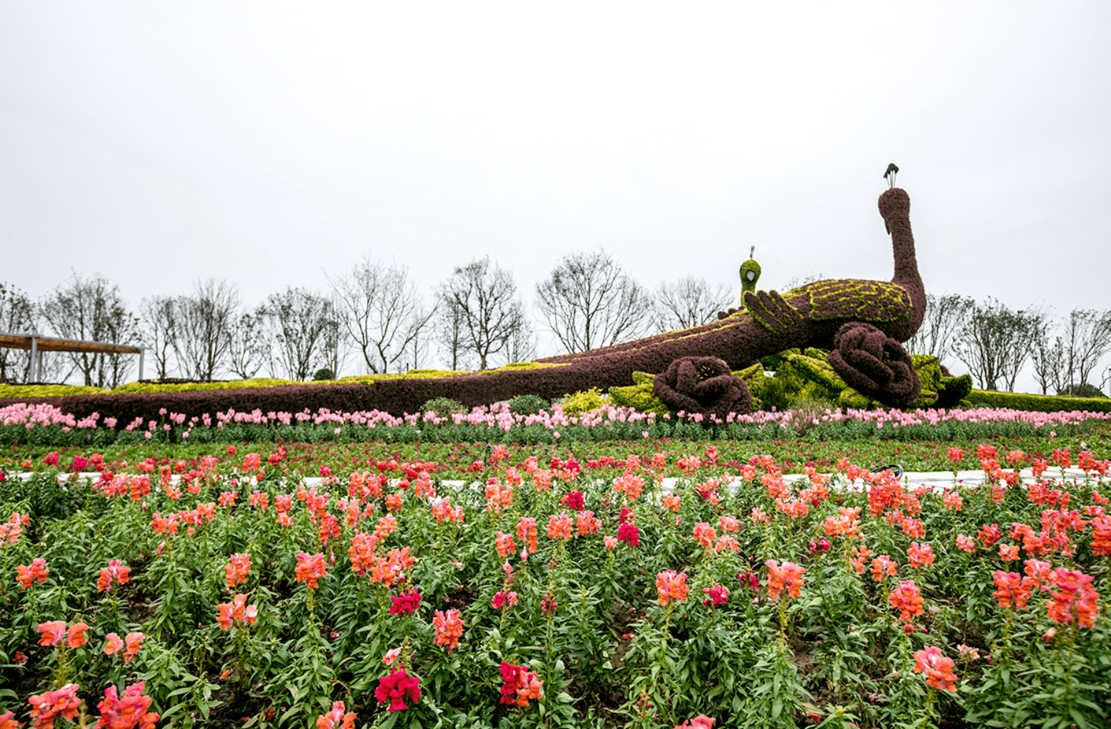 成都童话小镇:森林覆盖率超90%,自驾2h直达!
