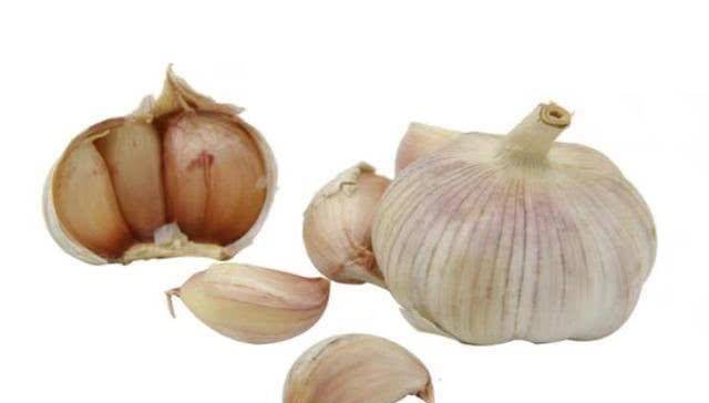 什么时间种蒜好呢 11e27c946049454084b13fdb6a1ca641.jpeg