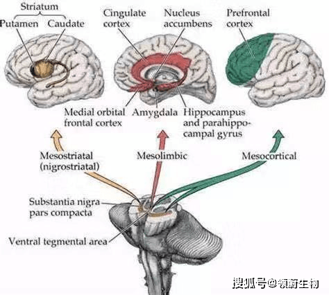 424fb23d218a4780a3c143c1c4814d21.png