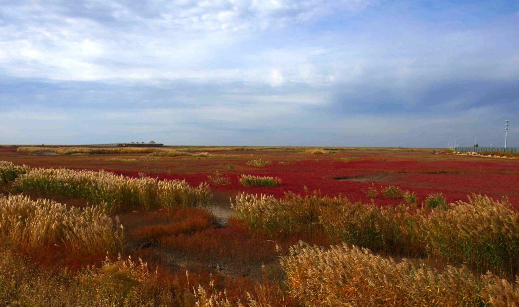 超过辽宁gdp的城市_东北将现第10个国家中心城市,沈阳大连哈尔滨长春,大家看好哪个(2)