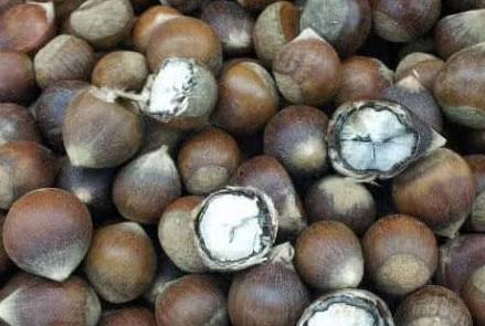 体重|女生来例假，4种“零食”大胆吃，助你排清子宫污血，体重蹭蹭降