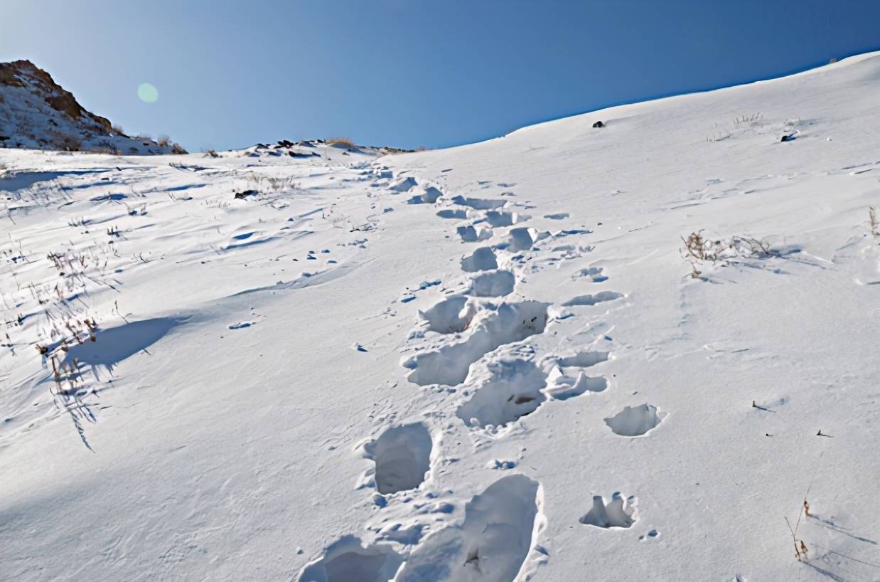 原创新诗采撷张金虎亮在南方微诗五首