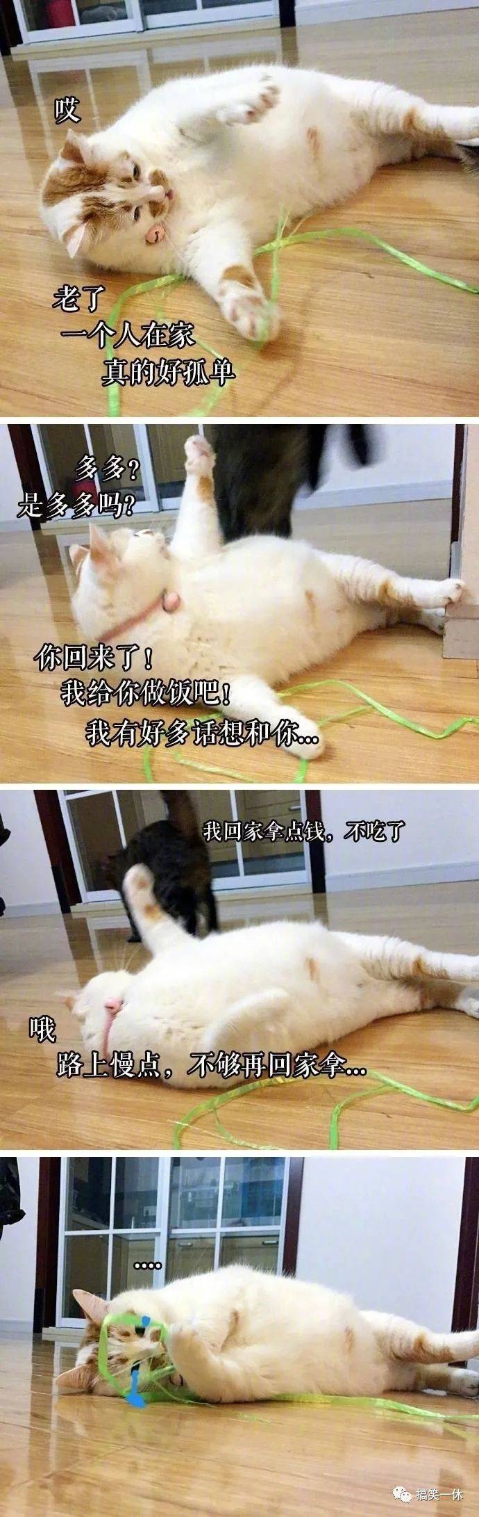 买点|你不理我,我也不理你,你一理我......