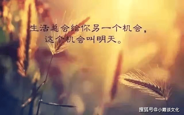 4bd91363dbaa4c108d7e4ad6ee616daf.png