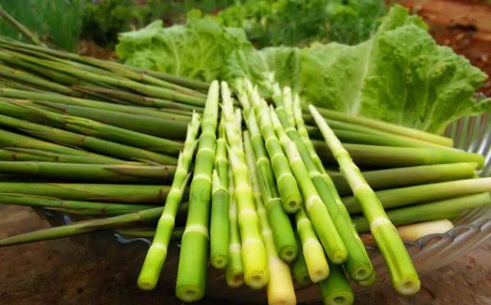 什么样的笋芽 8235d864e8744349a8b92c97f11659ca.jpeg