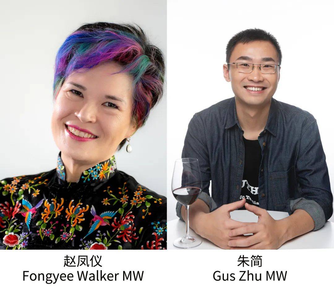 葡萄|非凡南非 | 2021南非葡萄酒中国巡展报名火热进行中