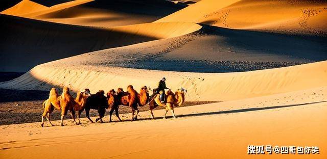 中国最大的沙漠腹地，藏有一片神秘绿洲，住着200户来历不明的人