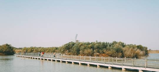 1978年东营gdp_实时(3)