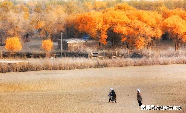 中国最大的沙漠腹地，藏有一片神秘绿洲，住着200户来历不明的人