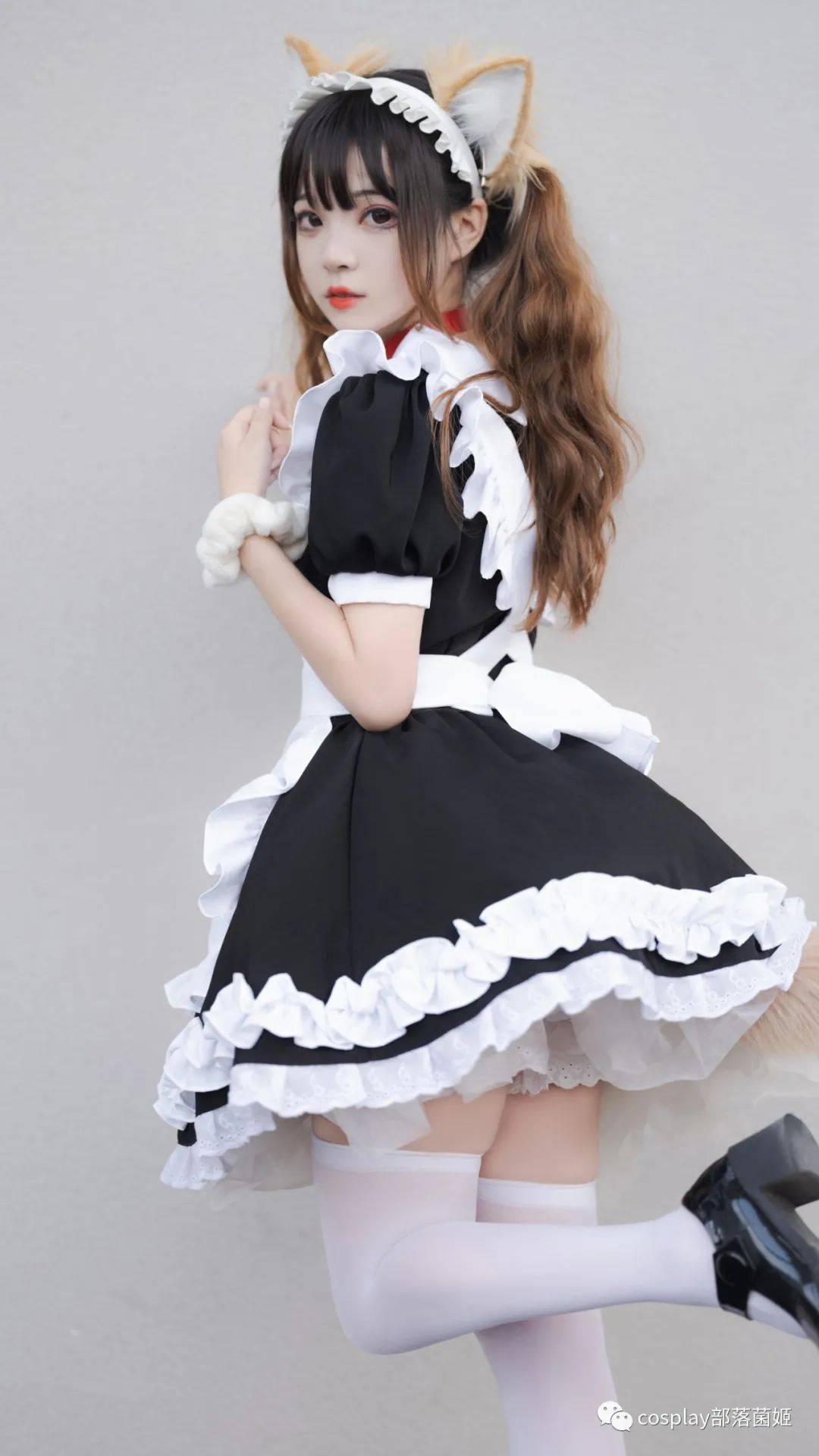 女仆猫猫:不能绑架如此可爱的猫咪