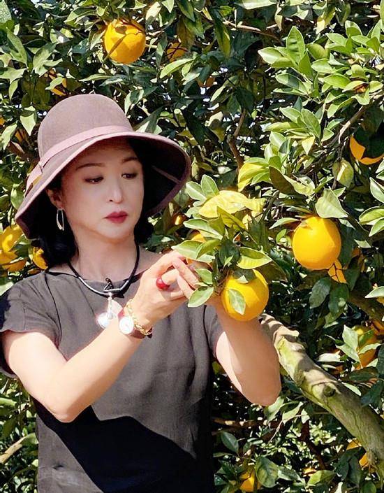 上海|金星摘个脐橙真洋气，戴小礼帽似“上海贵妇”，这眼神好绝一女的