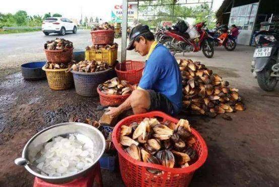 越南一种水果泛滥到没人吃，中国游客好心购买：价格涨了两倍？