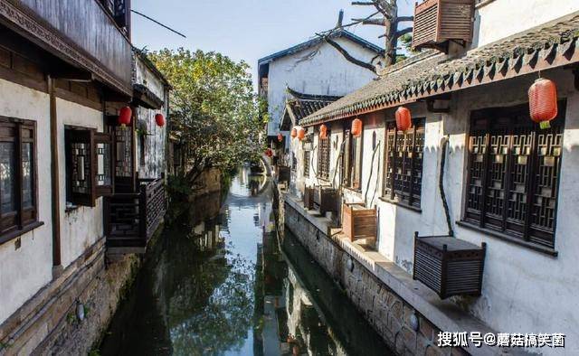 在上海，这座1500年的古镇不够大气，却有一样东西吸引很多人去