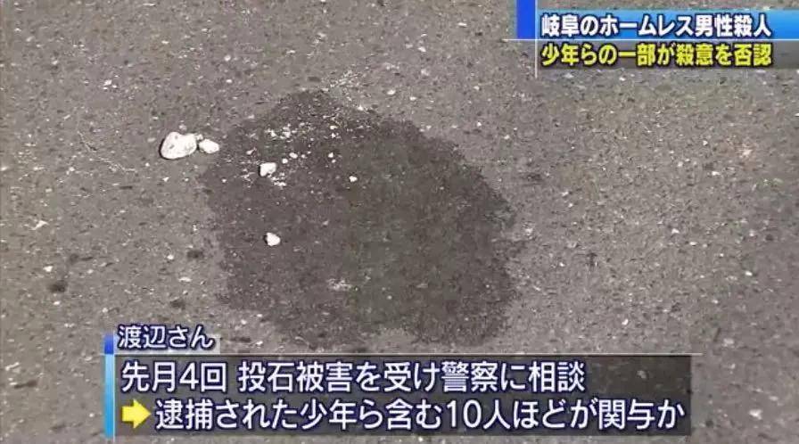 警方|全网在寻找的“洗衣机柯基”，目前有了重大进展！