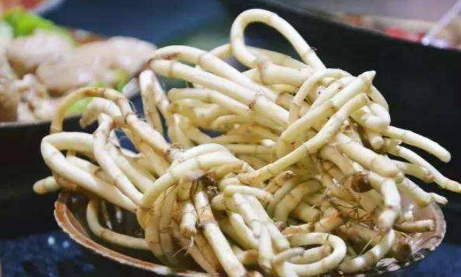 为什么有人喜欢吃折耳根 a13271f0c4094ceeae7e8a338af789b4.jpeg