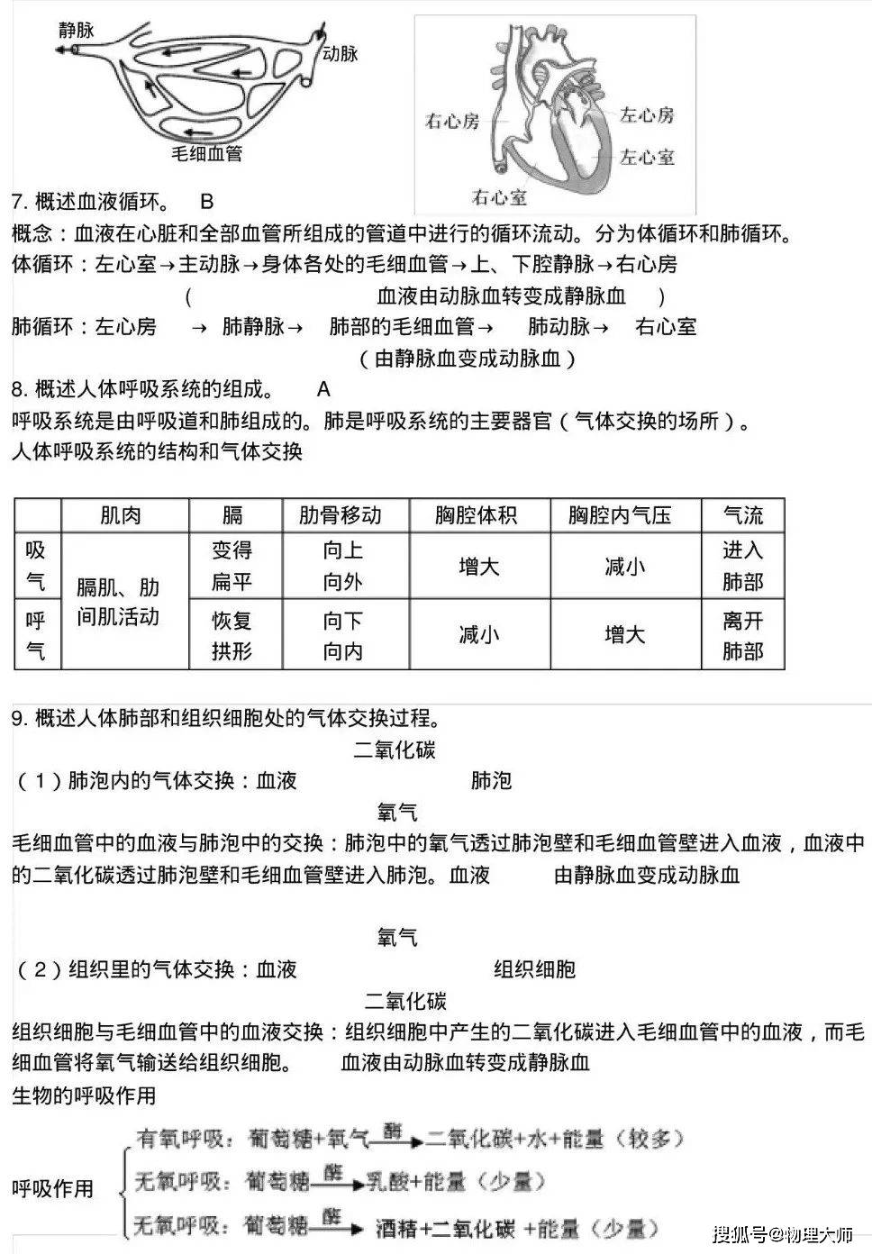 初中生物:必考知識點,超實用!