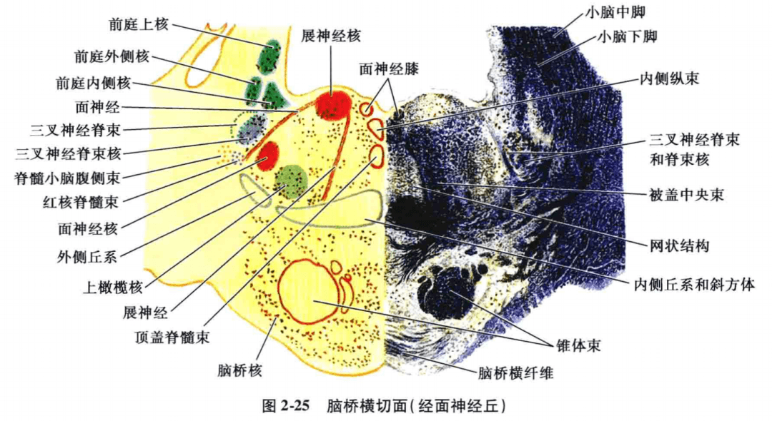 a1e98331637d4be190a98776aae914b7.png