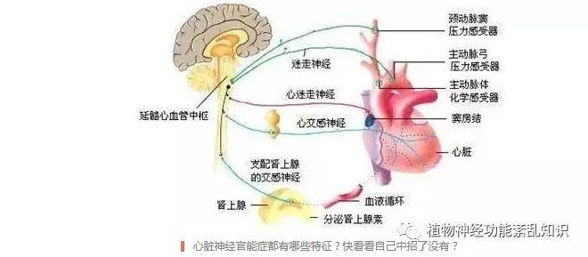 治疗植物神经紊乱的好方法你一定要珍藏起来，否则就找不到了！