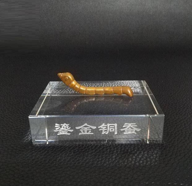 农民摸鱼捞到一条"金蚕",拒绝2万收购,上交后为国争光