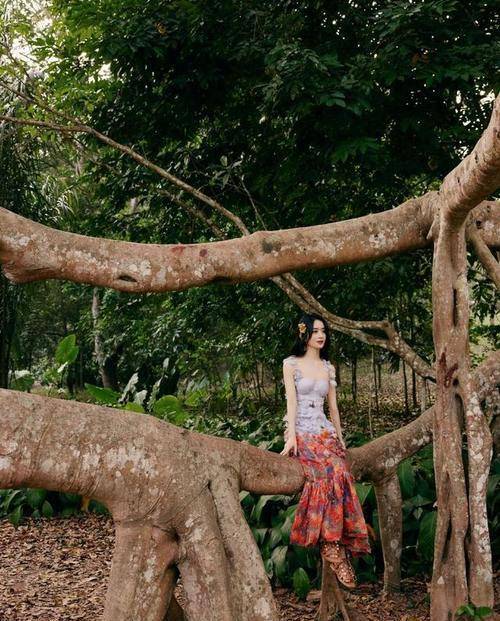 显得|赵丽颖真挺洋气的，露背花裙秀背肌，裙装紧绷却看不到赘肉