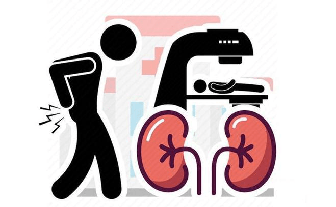 肾脏|腰痛等于肾病？带你揭秘4种肾病与腰痛的关系，为了健康多了解