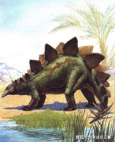 原创剑龙背上长满尖刺体长9米长相凶猛却是恐龙时代的素食乖宝宝
