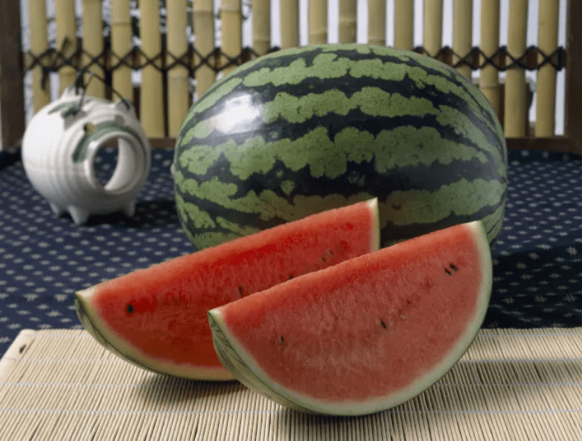 西瓜怎么种植的方法视频教程 a057c8777c2f49d8bd61f4bc8a42ab55.png