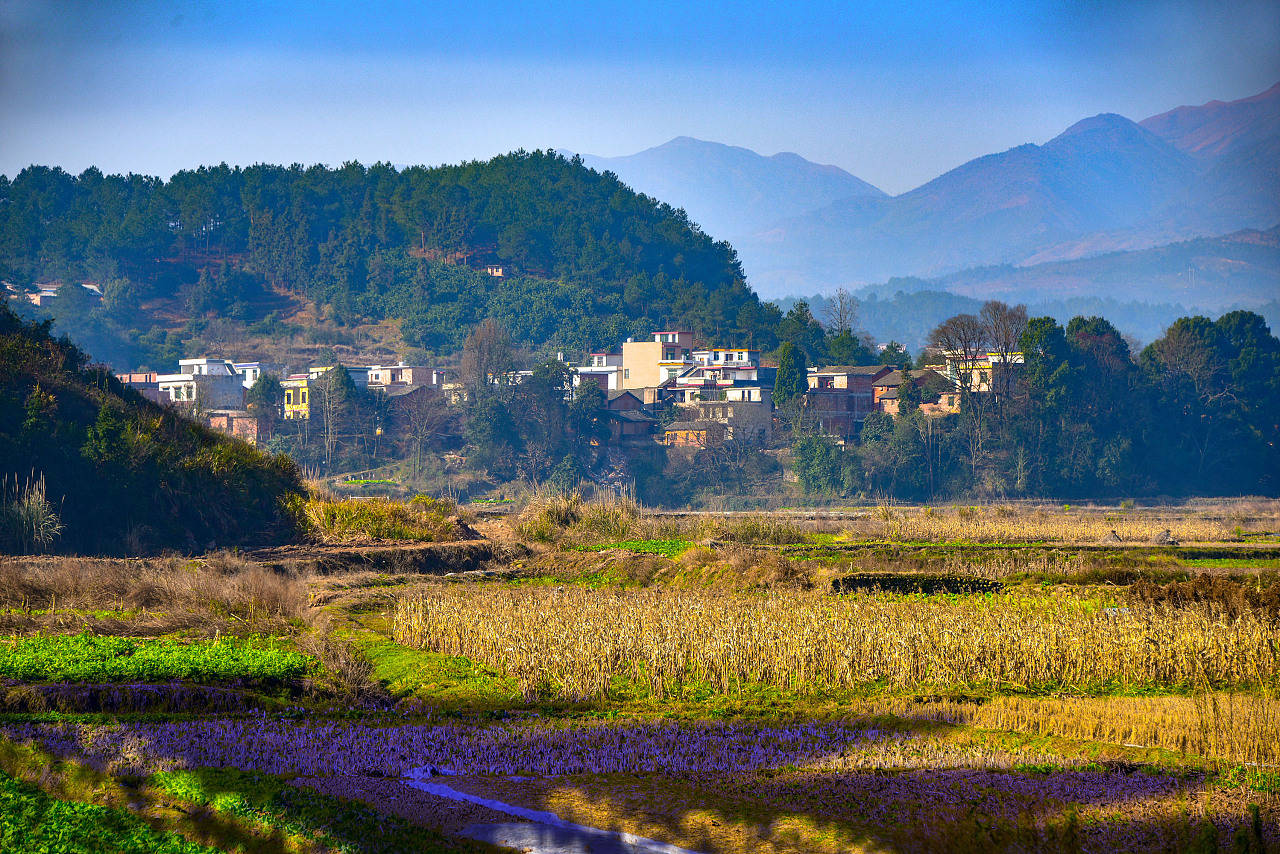 故土难离,合村并镇即便有再大的好处,老人为何不愿意离开老址?_农村
