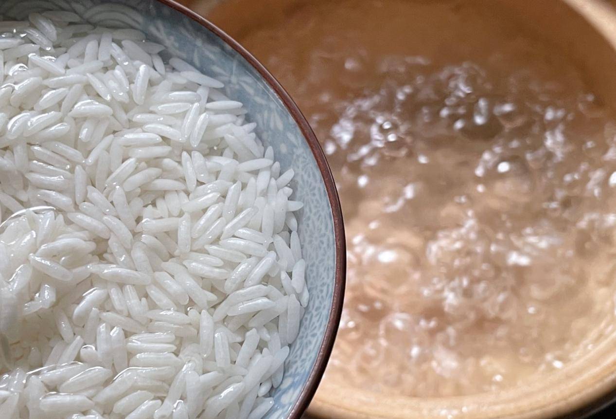 大脑|养胃易消化的冬瓜肉末粥，营养美味，制作简单