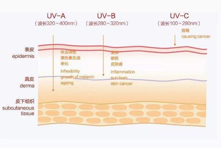 侵蚀者|皮肤光老化的九大原因！