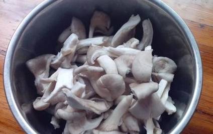 蘑菇要过水吗 f9d4fd3d65e14fb1b888f39a24e6e423.jpeg