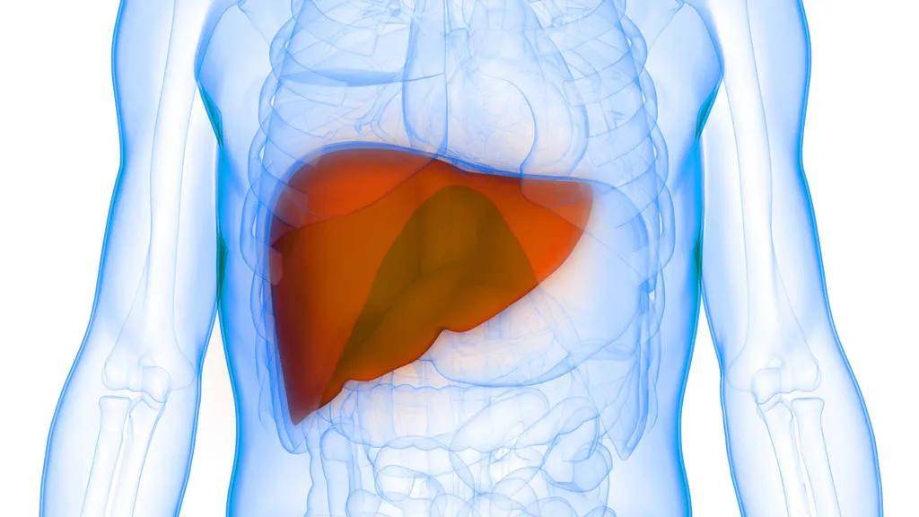 空腹|身体出现的9大症状，提醒你可能染上乙肝了!