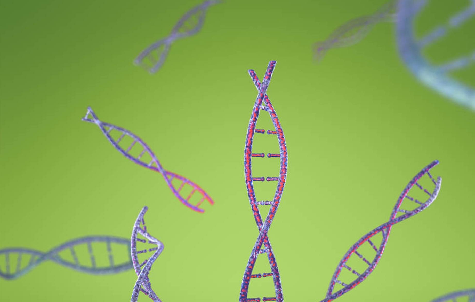 并发症|身上若2处“发痒”，很遗憾告诉你：血糖早已超标，别后知后觉