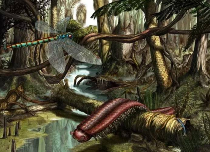 原创要翻天305厘米巨型蜈蚣捕食3700只海鸟为何如此反常有多毒