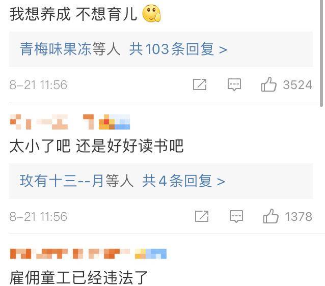 什么时候解散 5743cf5a105e48c1b8acdf893a1e282b.jpeg