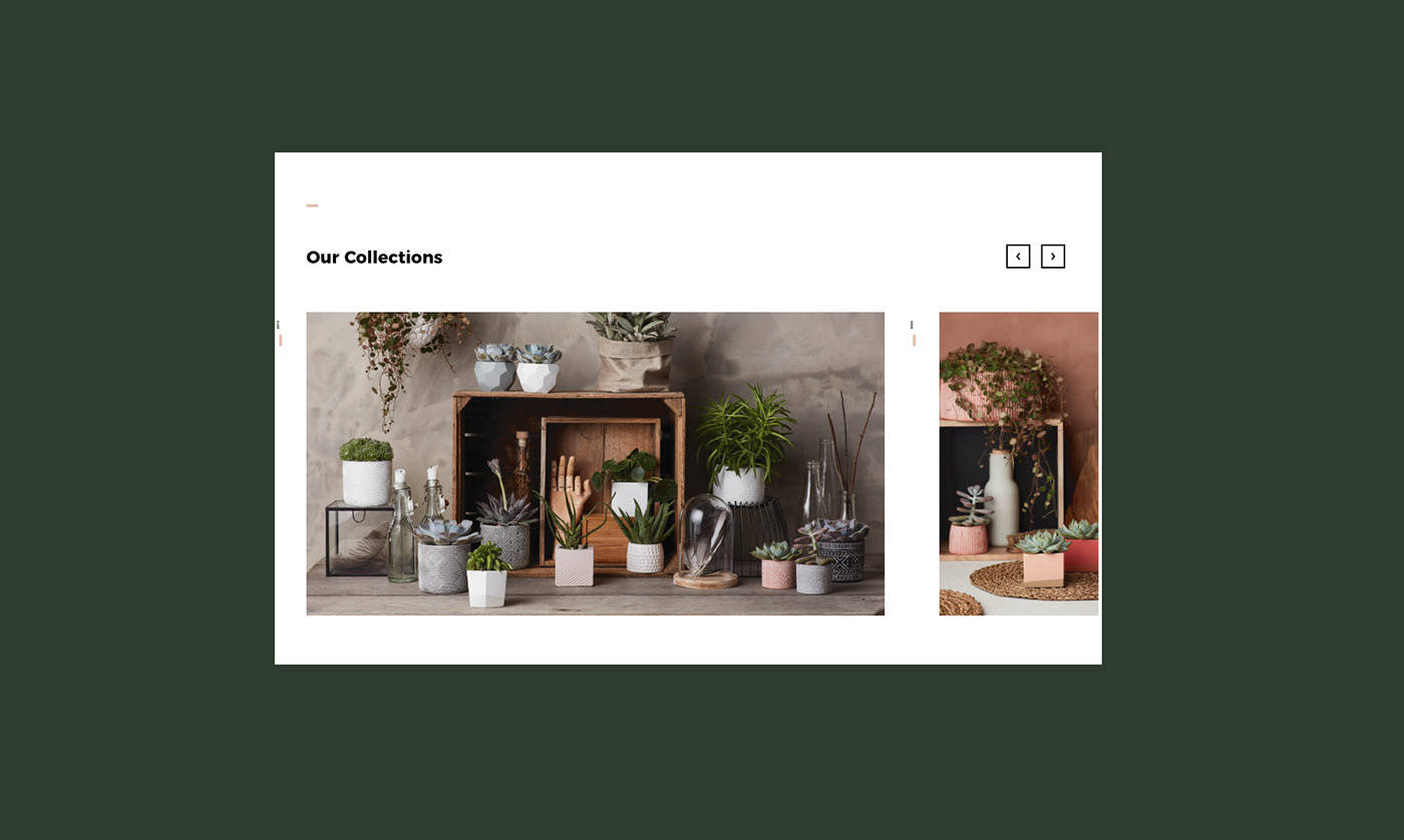 视觉|平面设计 | Dymak 家居和园艺配件品牌形象设计