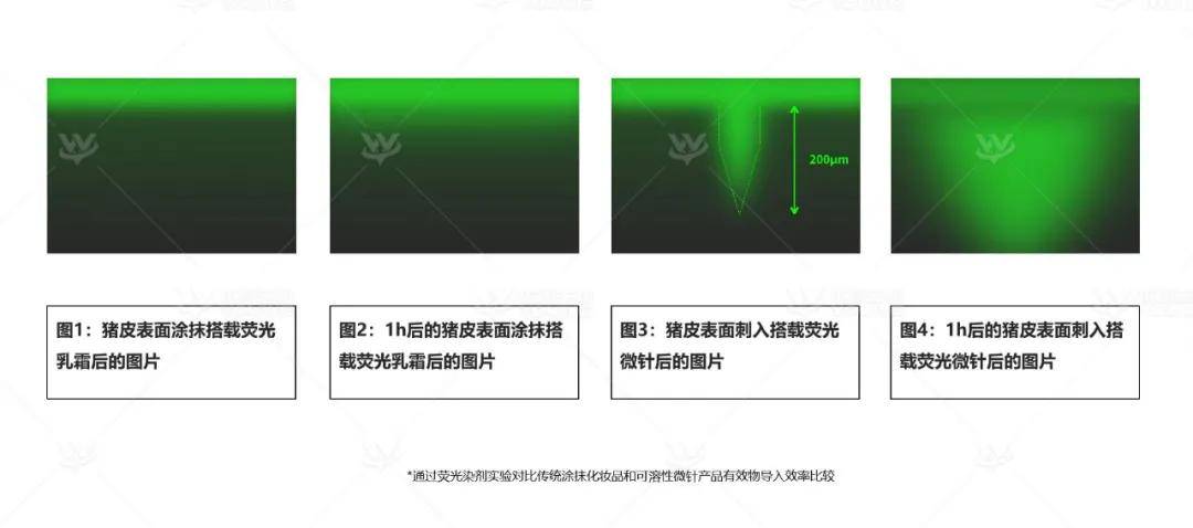产品|备受资本青睐的优微生物，会成为千亿功效护肤市场的破局者吗？
