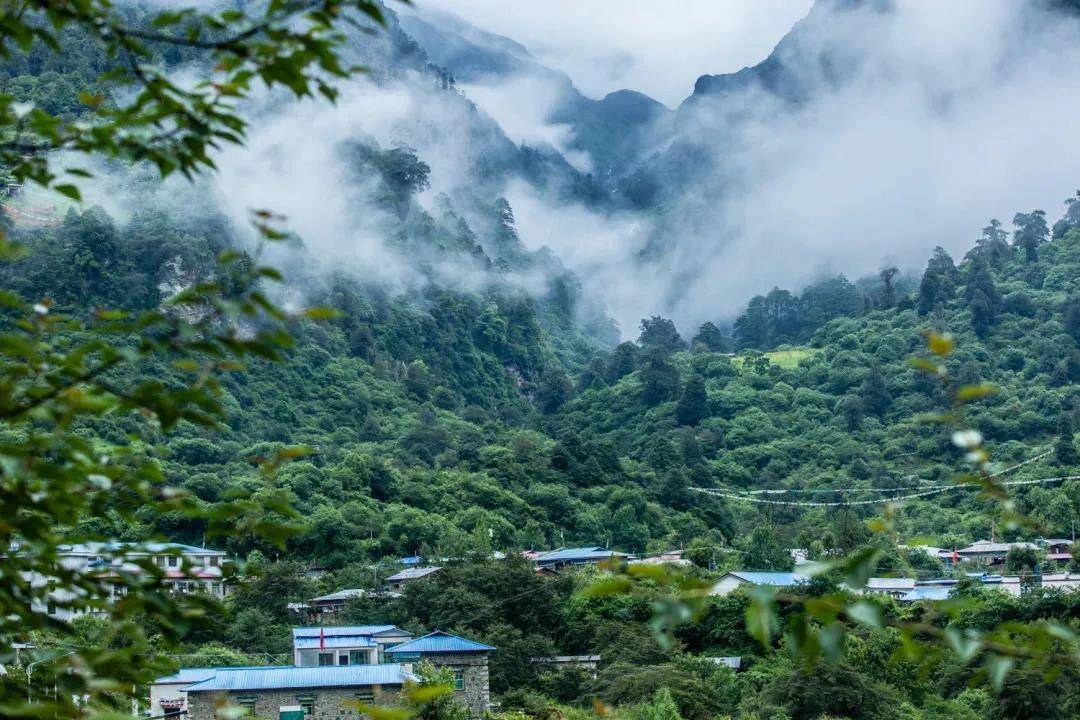 相比,玉麦可以称得上是世外桃源:印度洋暖流为玉麦沟带来了充沛的雨水