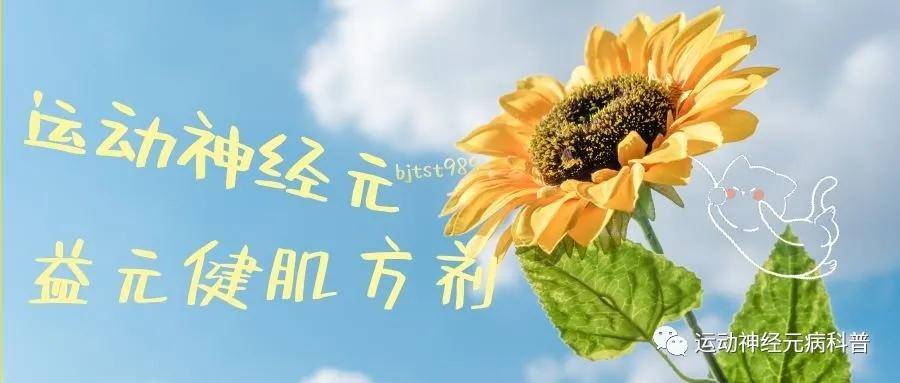 综合征|运动神经元病的几种类型以及表现