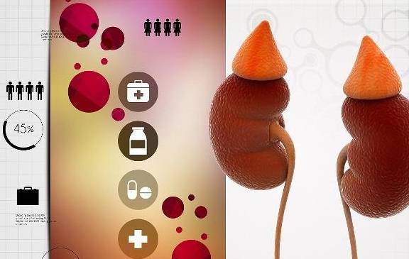 肾脏|肾功能下降也有“警报”,出现4种症状,可能在衰竭