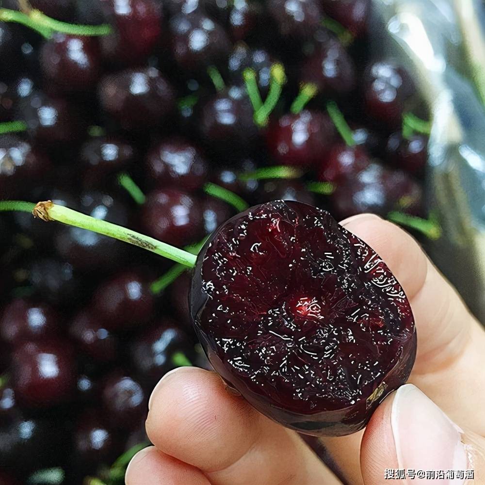 用于描述|葡萄酒常见香气分类图鉴详解,果实类香气图鉴、特点及品鉴方法