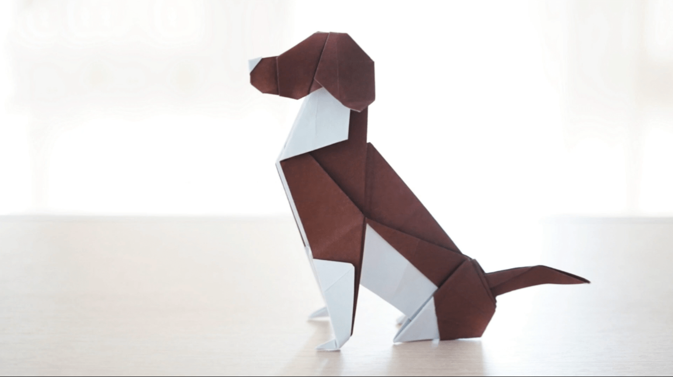 用硬纸板做立体小狗图片