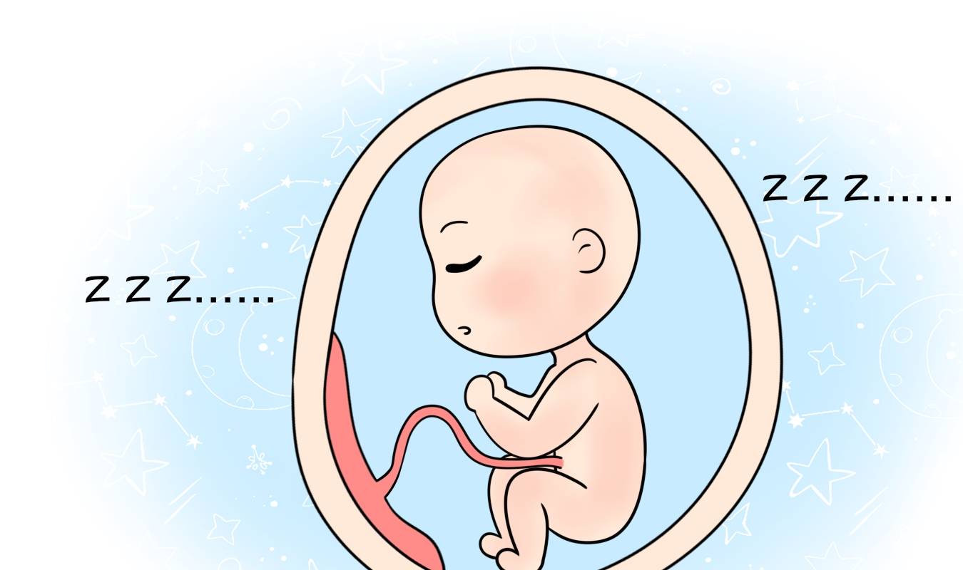 因为|这三个时间段胎宝呼呼大睡，孕妈妈也要休息好，不要打扰宝宝发育
