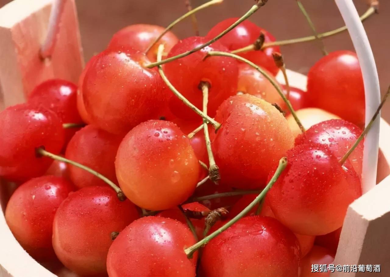 用于描述|葡萄酒常见香气分类图鉴详解,果实类香气图鉴、特点及品鉴方法